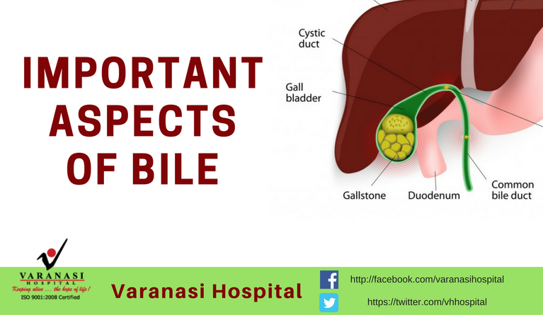 The Important aspects of Bile