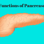 Pancreas Operation Varanasi